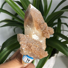 Load image into Gallery viewer, Natural Red Calcite Quartz Crystal Point Healing Home Decor Mineral Specimen Collection
