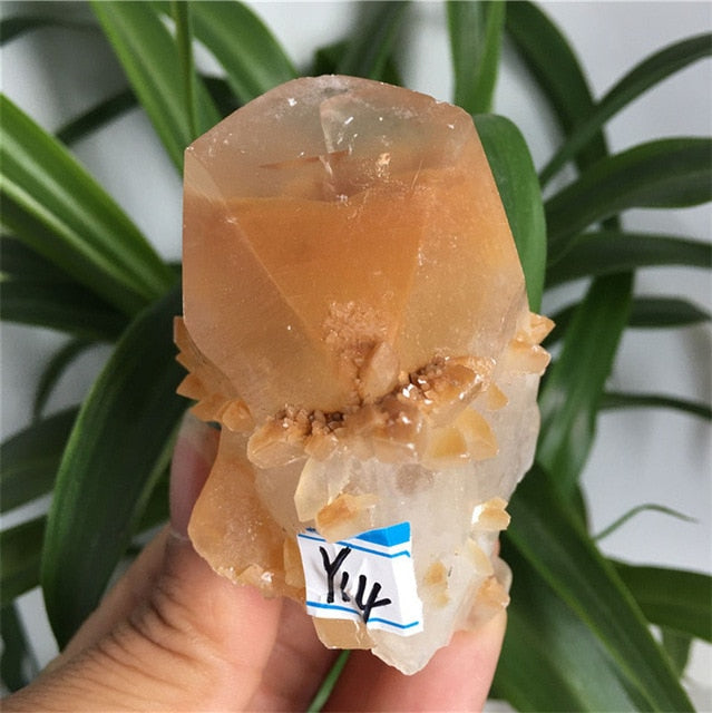 Natural Red Calcite Quartz Crystal Point Healing Home Decor Mineral Specimen Collection